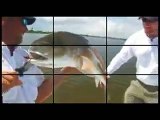 Awesome Amazing Fishing - Beast Fishing Monster of the Deep - Spectacular Fort Myers Fishing Trips