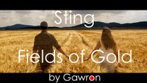 Sting - FIELDS OF GOLD drum cover by Gawron (on the rape fields)