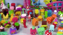 Shopkins CARRY CASE! Organize Season 1 2 & 3 Shopkins Collection! FUN