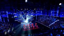 She Elvis Costello | Roland Scull Cover | The Voice of Germany 2016 | Blind Audition