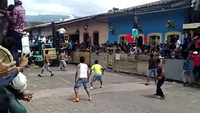 bull figthing with human