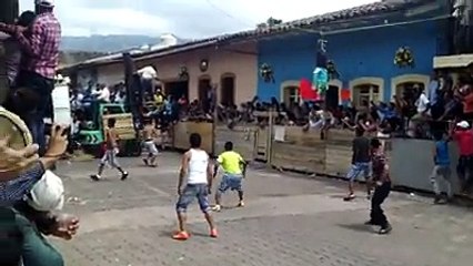 bull figthing with human