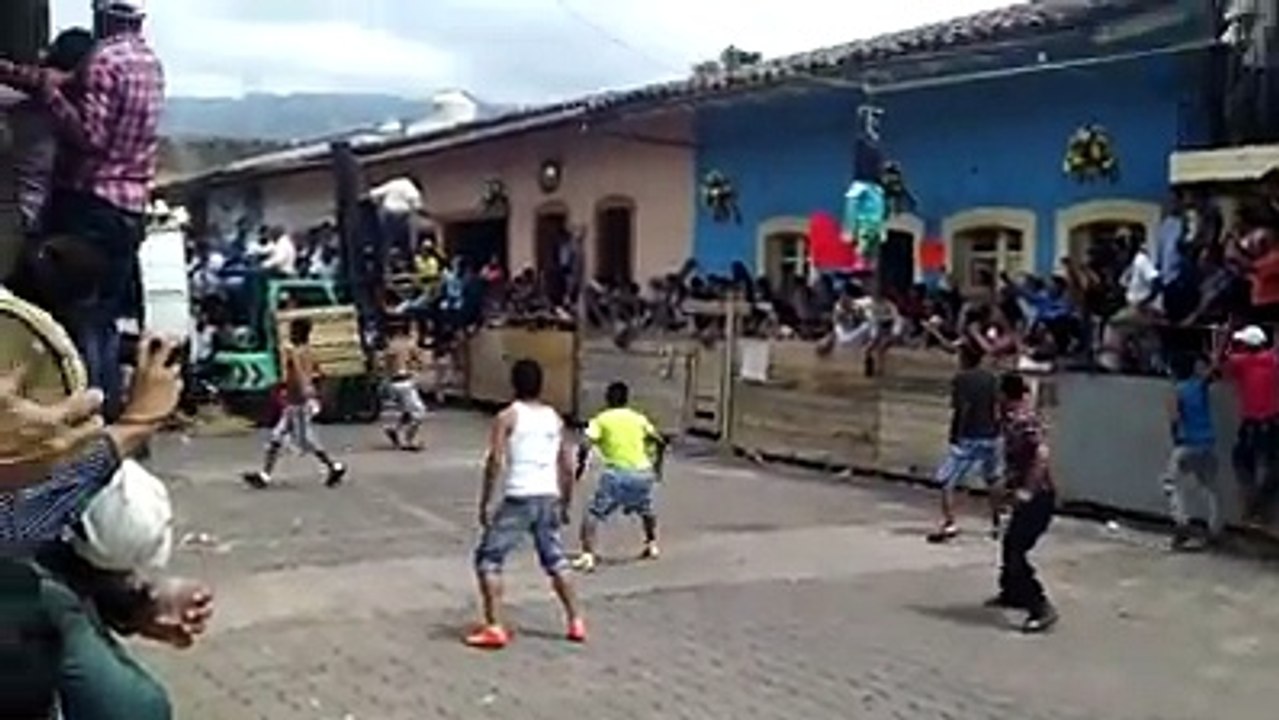 bull figthing with human