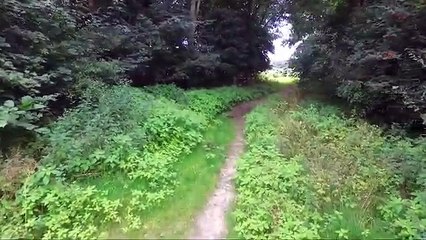 Cobra 8 je jedna od najjačih petardi na svijetu: Gdje se baci tu trava ne raste