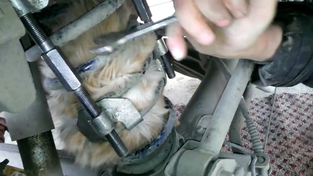 Ils retrouvent un chat coincé dans un amortisseur de voiture... Dingue