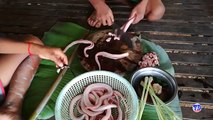 Wow! 4 Children Cook Water Snake For Food - How To Cook Snake In Cambodia