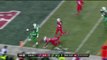 2015 - Jets Ryan Fitzpatrick finds Brandon Marshall for a TD