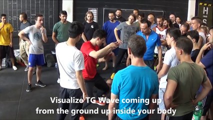Use the TG Wave - DK Yoo