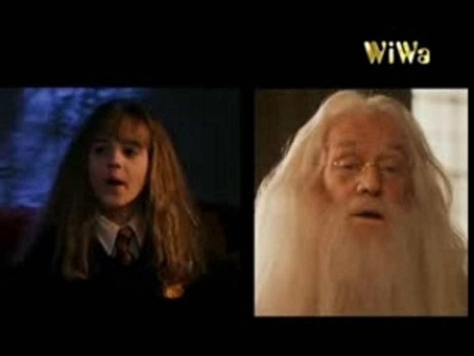 Wenn du denkst - fresh dumbledore (feat. hermine g.)