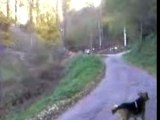 Sur la route de ch