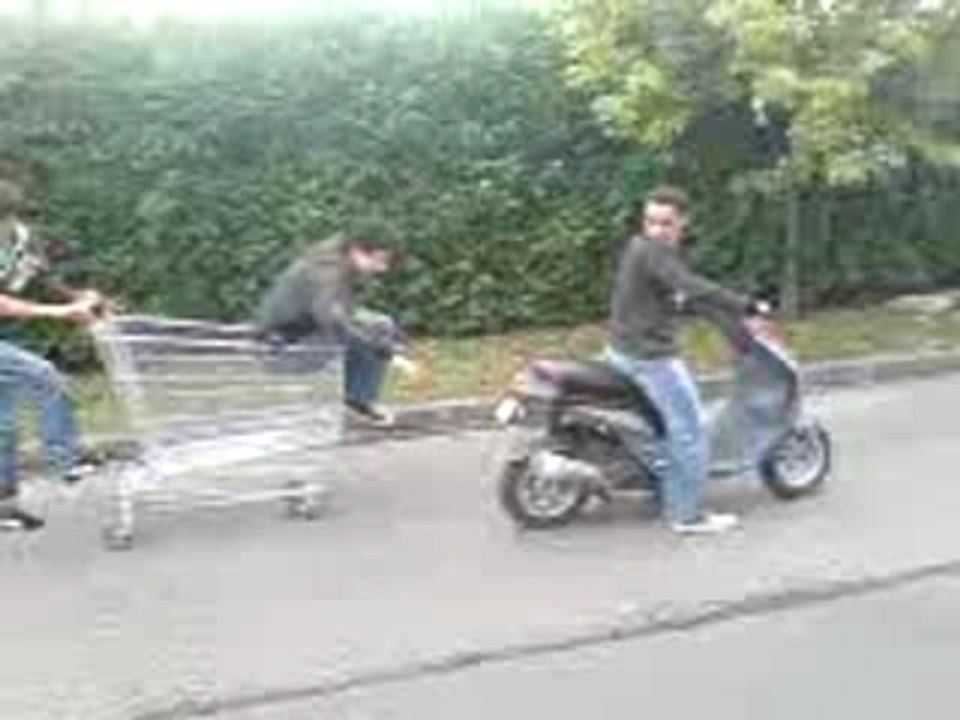 Scoot cadii