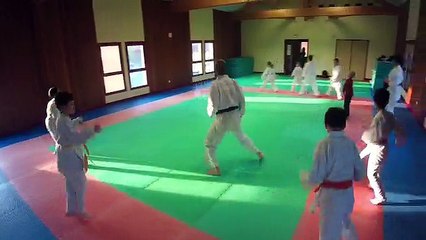 Les 1er cours de la saison 2017-2018