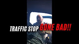 Simple Traffic stop goes from bad to an arrest ( Did Cop Violate citizens rights?)