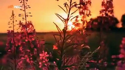 WARNUG DER USA AN DEUTSCHE AUTOHERSTELLER