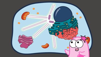 Introduction to Cells: The Grand Cell Tour