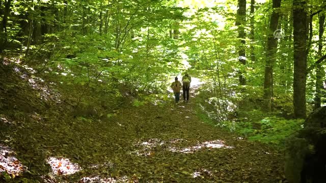 Domaniç Dağları Sonbaharın Renklerine Büründü
