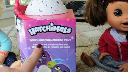 Baby Alive Get Hatchimals! Watch It HATCH! - Baby Alive Videos