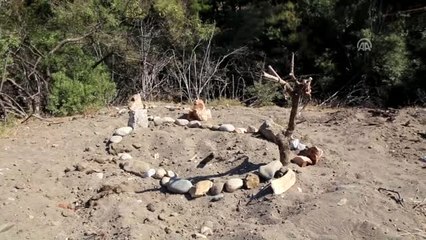 Deniz Kaplumbağası Mezarlığı"