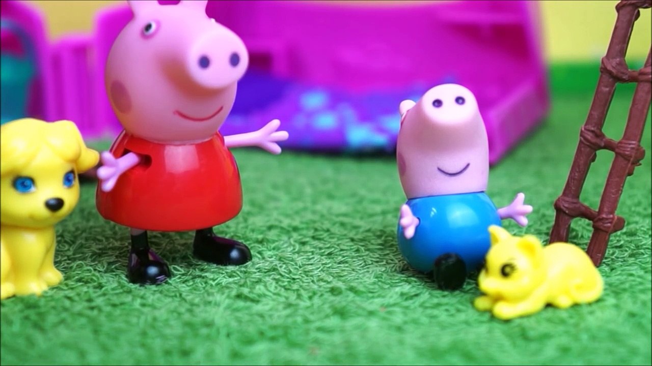 Pig George da Família Peppa Pig com Dor de Barriga e Outras História em Portugues Compilação