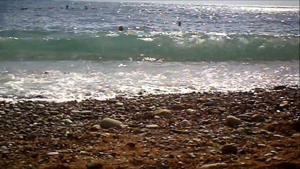 Petrovac Crna gora 2010.a.d.