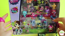 New Littlest Pet Shop Pet Fest Charers 2016 Toy Collection | Toy Caboodle