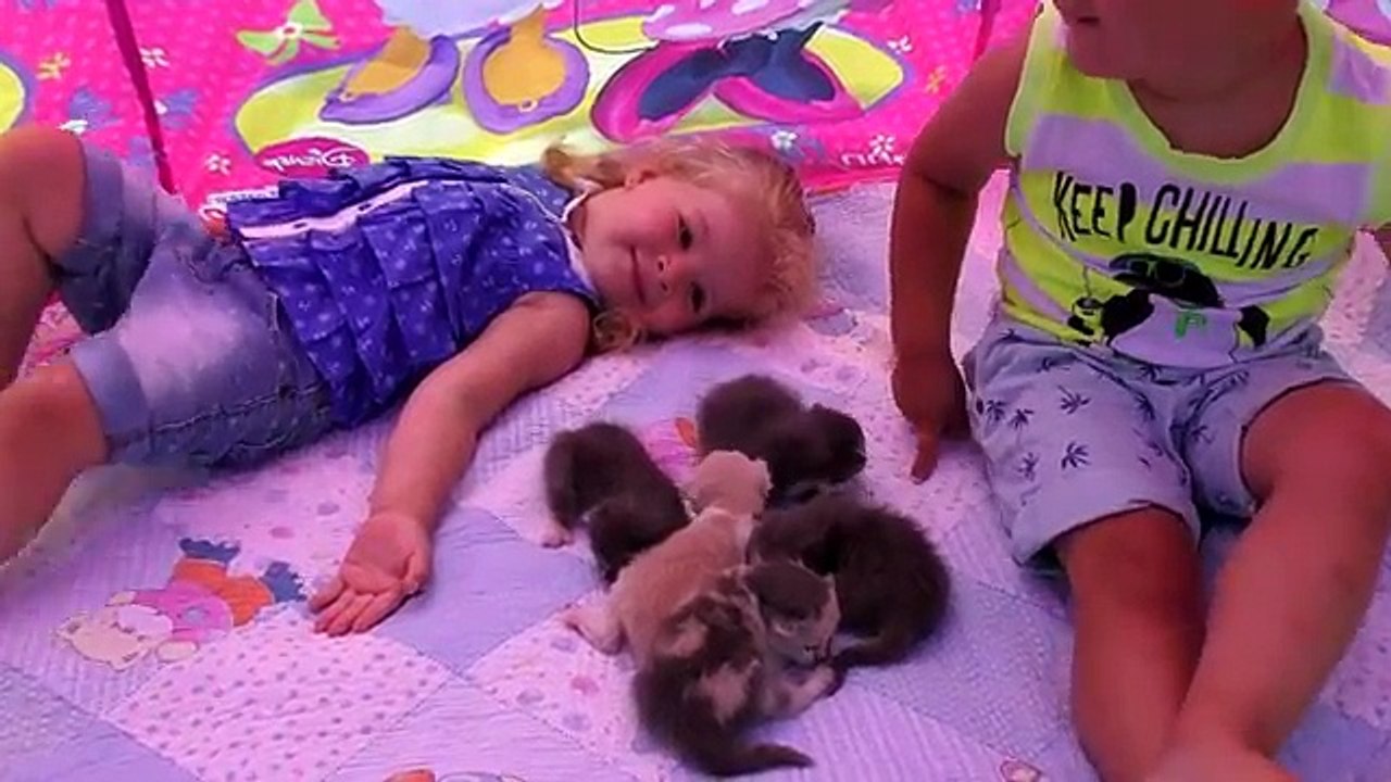 ✿ КОШКА РОДИЛА 5 КОТЯТ!!! Тент Minnie Mouse от JOHN Видео Для Детей Play with cat funny cats video