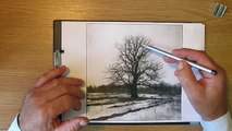 Как рисовать дерево дуб. Часть 1. Урок 11. How to draw oak tree. Lesson 11
