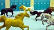 Breyer- New Stallion - Honey Heartbreak Part 2 - Mini Whinnies Horses Series Movie