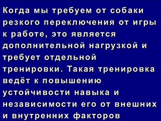 Дрессировка ОКД щенка ВЕО Команда место вторая часть