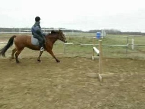 Saut 80 cm
