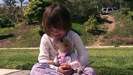 Your Baby Can Learn! Volume 1 Full Video