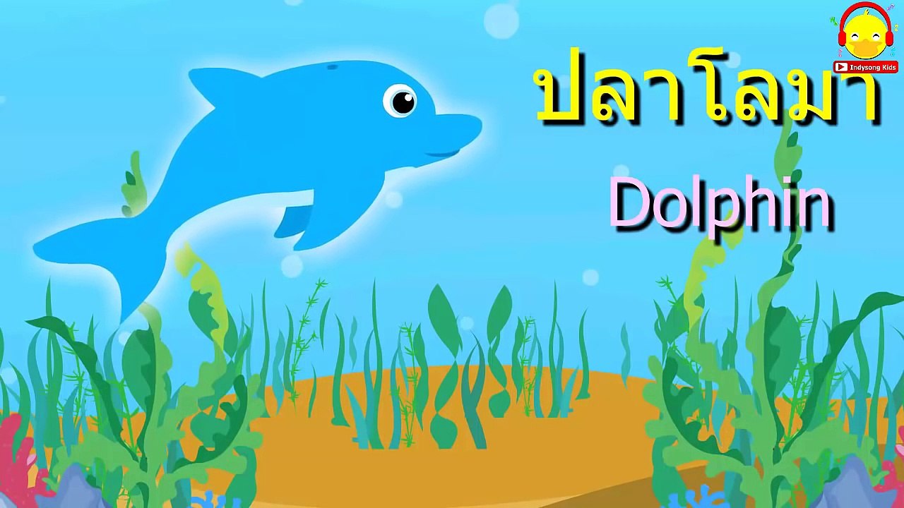 เสียงสัตว์เพื่อการเรียนรู้+เพลงเด็ก ♫เป็ด ช้าง กบ ม้า | Learn Animal sound| Indysong Kids