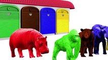 NEW COLORS! Learn Colors & Names with Animals Lion Elephant Gorilla Hippo - Fun Video for Children