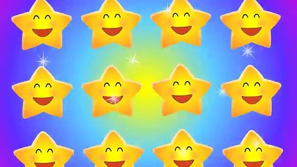 Twinkle Twinkle Little Star MV@nimals Tune