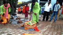 Snake Charmers in India Hypnotize Snakes