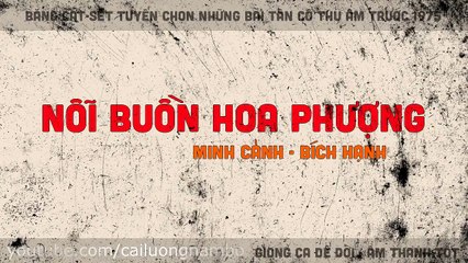 Nỗi Buồn Hoa Phượng, Minh Cảnh, Bích Hạnh