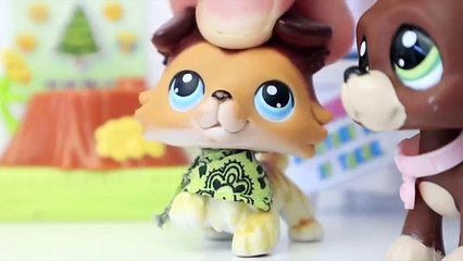 LPS: Your Crush (Funny High School Skit)