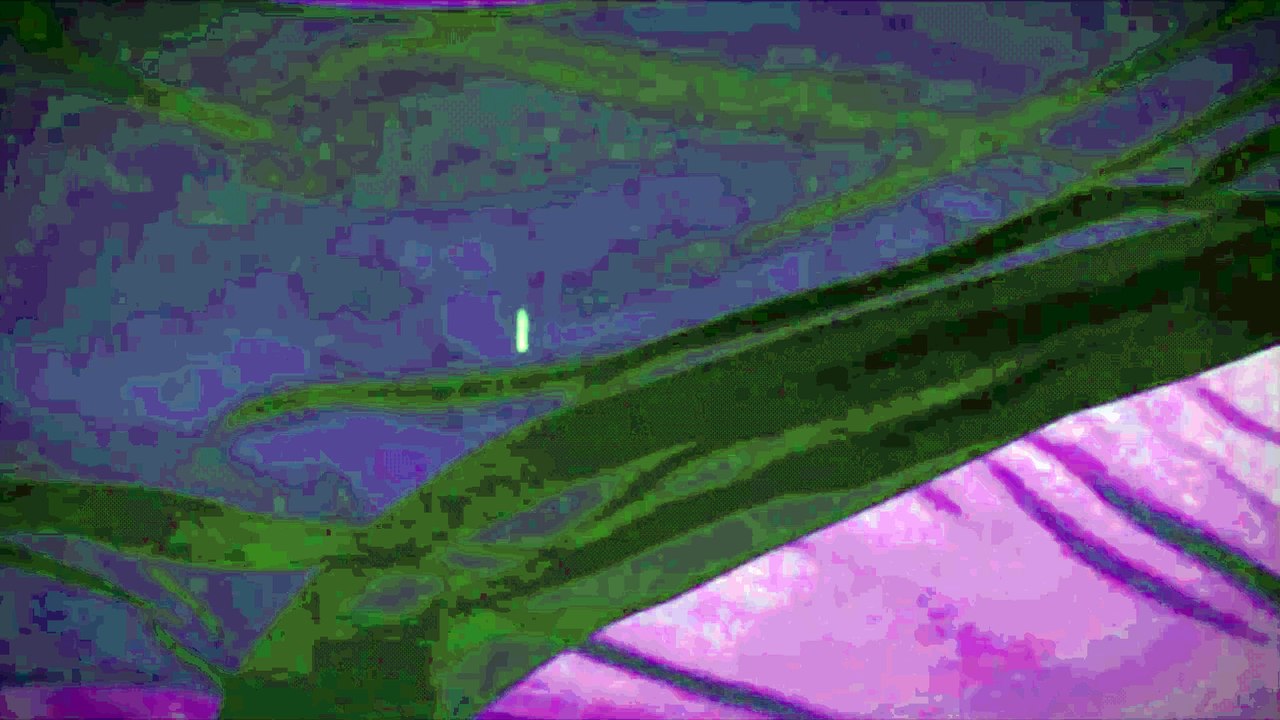 NBCUniversal Television Distribution/SONY/SONY Pictures Television (2017)