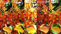 Galaxy S7 vs Xperia Z5, Lumia 1020, iPhone 6s, Mi5 Camera Comparison