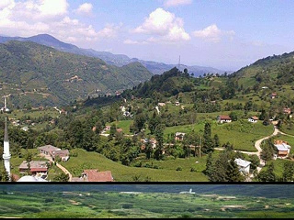 Araklı Halilli Köyü