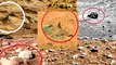 MARS 2017, NEW REAL PHOTOS OF ROVER CURIOSITY, NASA PHOTOS OF MARS