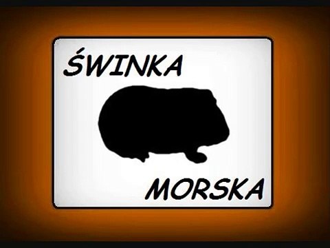 Odgłosy zwierząt - Odgłosy zwierząt dla dzieci