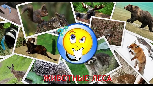 Животные леса. Звуки животных развивающий мультик