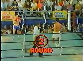 Roberto Duran vs Vilomar Fernandez (29-01-1977) Full Fight