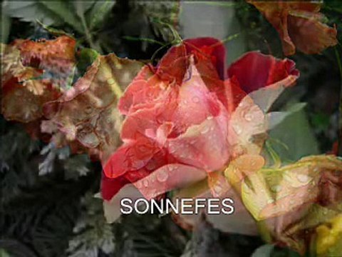 MÜKEMMEL ÖTESİ KÜRTÇE DAMAR Bİ ŞARKI (KOMA MAZLUMAN GULA SERE ÇİYA)