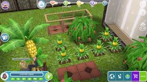 Sims Freeplay | How To Glitch Pineapple Trees & 1x1 Items