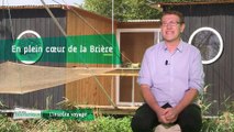 La Minute touristique - L'insolite voyage