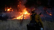 Death toll rises in Californian wildfires