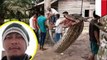 Pria Kamboja gigit ekor ular piton untuk tolong warga Thailand - TomoNews