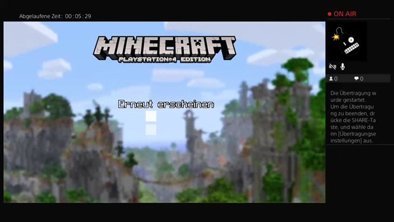 Minecraft (31)